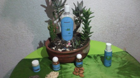 Productos 