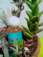 /album/nuestros-productos/a11187703-819805328100963-1365257939-o-jpg/